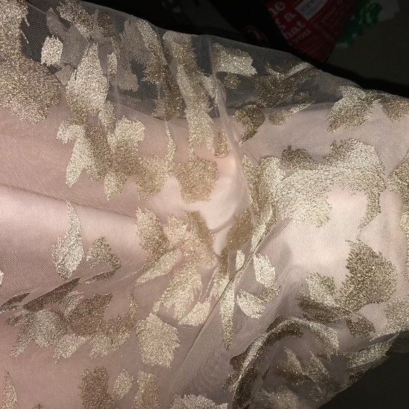 Blush and Gold Strapless Gown - Picture 2 of 3